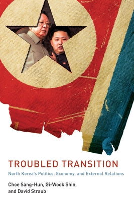 Troubled Transition: North Korea's Politics, Economy, and External Relations by Choe, Sang-Hun