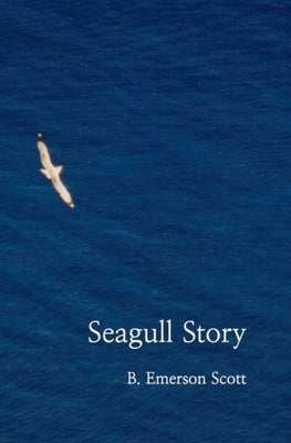 Seagull Story by Scott, B. Emerson