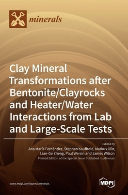 Clay Mineral Transformations after Bentonite/Clayrocks and Heater/Water Interactions from Lab and Large-Scale Tests by Fernandez, Ana Marıa