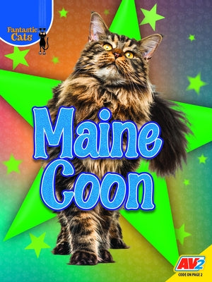 Maine Coon by Kissock, Heather