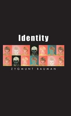 Identity: Coversations with Benedetto Vecchi by Bauman, Zygmunt