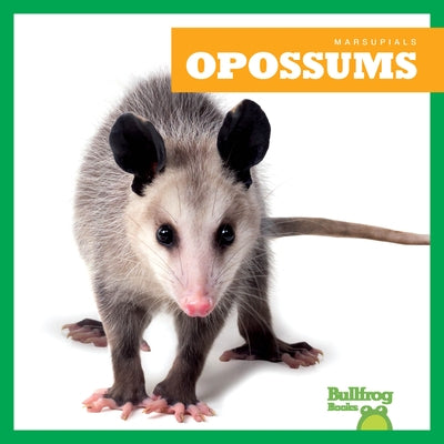Opossums by Deniston, Natalie