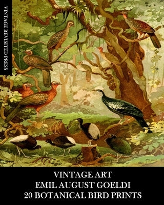 Vintage Art: Emil August Goeldi: 20 Botanical Bird Prints: Ephemera for Framing, Home Decor, Collage and Decoupage by Press, Vintage Revisited