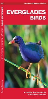 Everglades Birds: A Folding Pocket Guide to Familiar Species by Kavanagh, James