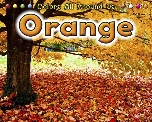 Orange by Rissman, Rebecca