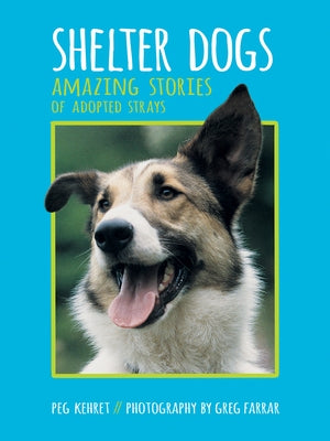 Shelter Dogs: Amazing Stories of Adopted Strays by Kehret, Peg