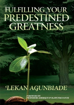 Fulfilling Your Predestined Greatness by Agunbiade, Lekan