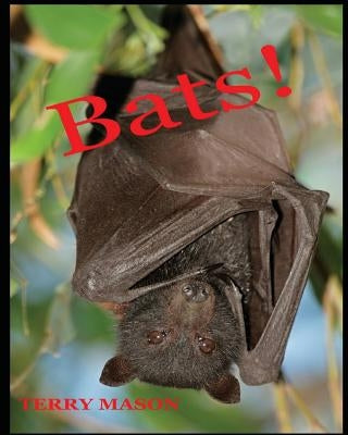 Bats: Learn About These Strange and Wonderful Creatures of the Night by Mason, Terry