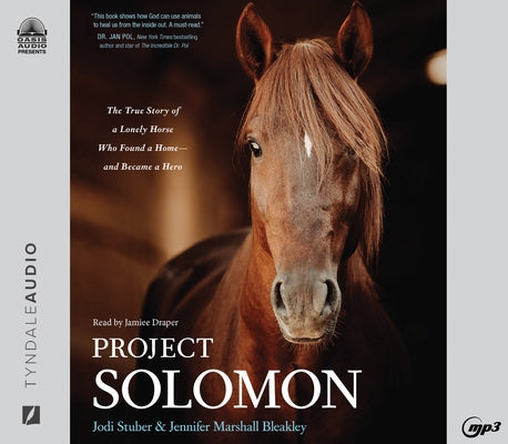 Project Solomon: The True Story of a Lonely Horse Who Found a Home - And Became a Hero by Stuber, Jodi