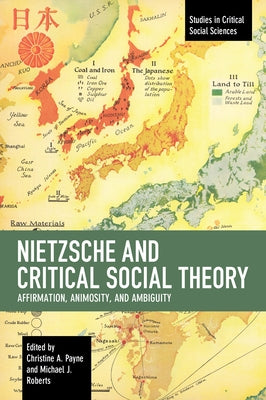 Nietzsche and Critical Social Theory: Affirmation, Animosity, and Ambiguity by Payne, Christine A.