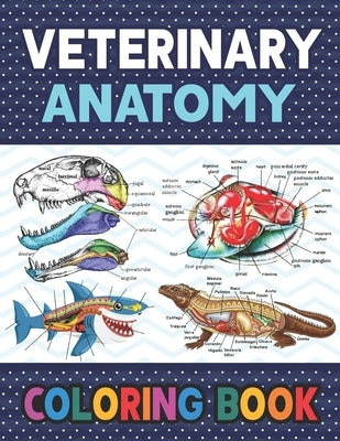 Veterinary Anatomy Coloring Book: Learn The Veterinary Anatomy With Fun & Easy. The New Surprising Magnificent Learning Structure For Veterinary Anato by Publication, Darkeylone