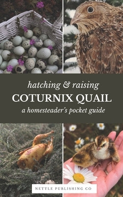 Hatching & Raising Quail A Homesteader's Guide: A Detailed Guide to Incubating, Hatching, and Raising Healthy Corturnix Quail for Homesteaders and Bac by Co, Nettle Publishing