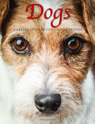 Dogs: A Celebration of Our Canine Friends by Jackson, Tom