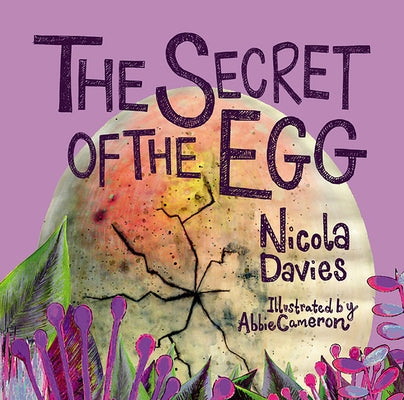 The Secret of the Egg by Davies, Nicola