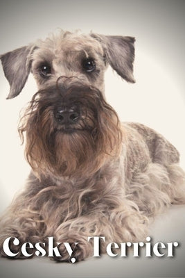 Cesky Terrier: Dog breed overview and guide by Pustova, Nina