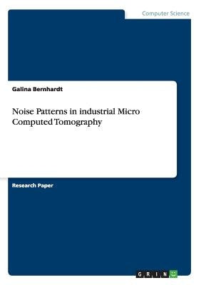 Noise Patterns in industrial Micro Computed Tomography by Bernhardt, Galina