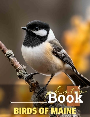 Birds of Maine Photo Book: Discover Stunning Avian Life Through 40 Captivating Images Of Maine's Feathered Residents by Drake, Raheem