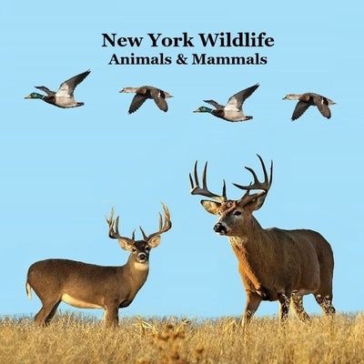 New York Animals and Mammals Kids Wildlife Book: Great Wildlife Book about Animals and Mammals in New York by Marie, Kinsey