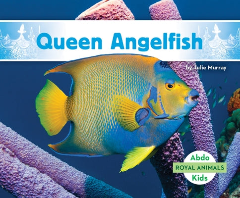 Queen Angelfish by Murray, Julie