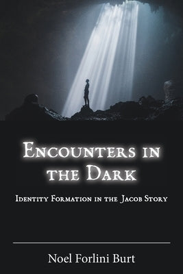 Encounters in the Dark: Identity Formation in the Jacob Story by Forlini Burt, Noel