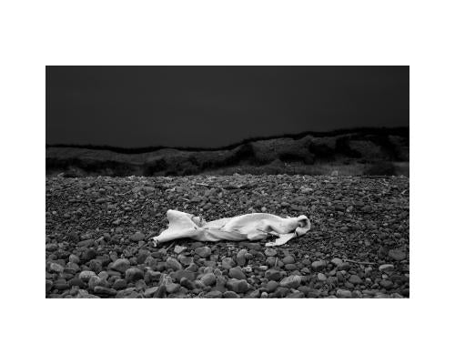 The Curious Moaning of Kenfig Burrows by Rickett, Sophy