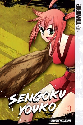 Sengoku Youko, Volume 3: Volume 3 by Satoshi Mizukami