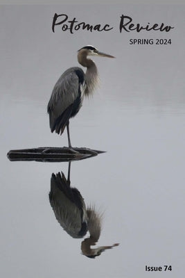 Potomac Review Issue 74 by Kapikian, Albert