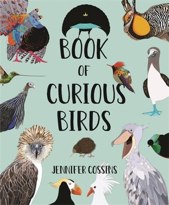Book of Curious Birds by Cossins, Jennifer