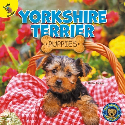 Yorkshire Terrier Puppies by Scragg