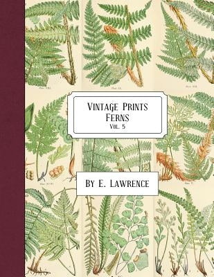 Vintage Prints: Ferns: Vol. 5 by Lawrence, E.