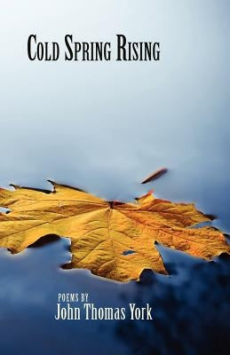 Cold Spring Rising by York, John Thomas