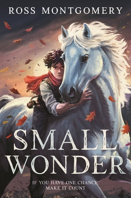 Small Wonder by Montgomery, Ross