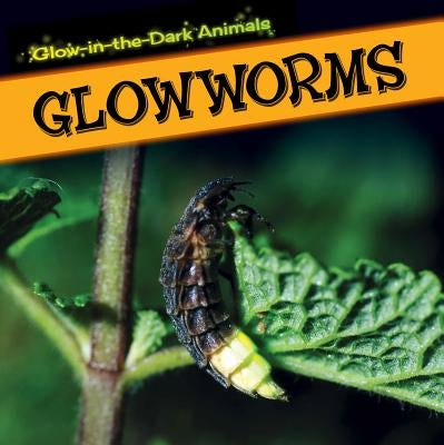 Glowworms by Rajczak Nelson, Kristen