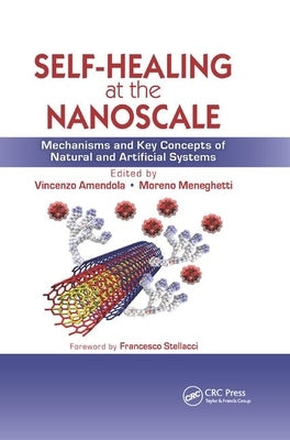 Self-Healing at the Nanoscale: Mechanisms and Key Concepts of Natural and Artificial Systems by Amendola, Vincenzo