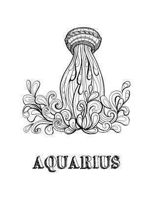 Aquarius: Coloring Book with Three Different Styles of All Twelve Signs of the Zodiac. 36 Individual Coloring Pages. 8.5 x 11 by Journals, Blank Slate