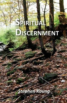 Spiritual Discernment by Kaung, Stephen