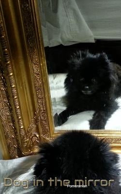 Dog in the Mirror Pomeranian: Dog In the mirrior Pomeranian by Huhn, Michael