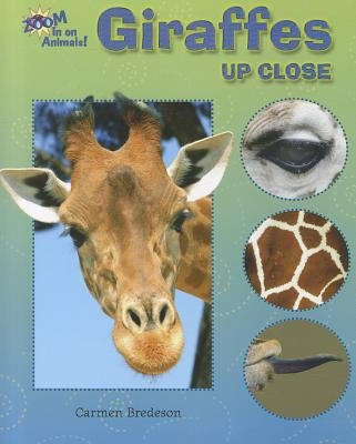 Giraffes Up Close by Bredeson, Carmen