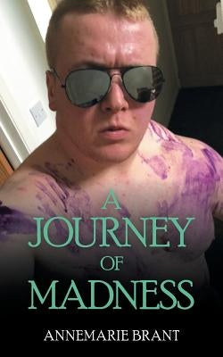 A Journey of Madness: Part 1 by Brant, Annemarie