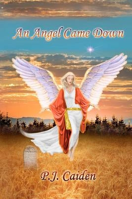 An Angel Came Down by Holeman, Daniel B.