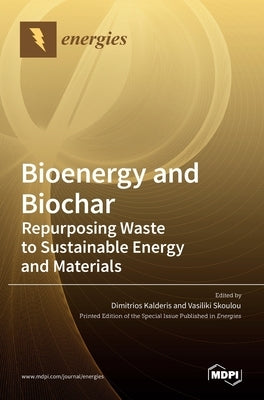 Bioenergy and Biochar: Repurposing Waste to Sustainable Energy and Materials by Kalderis, Dimitrios