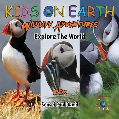 KIDS ON EARTH Wildlife Adventures - Explore The World - Puffin - Iceland by David, Sensei Paul
