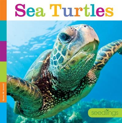 Sea Turtles by Arnold, Quinn M.