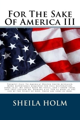 For The Sake Of America III by Holm, Sheila