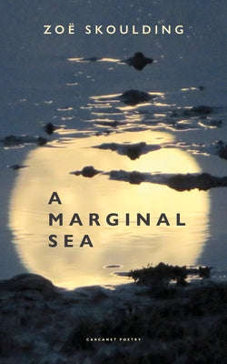 A Marginal Sea by Skoulding, Zoë