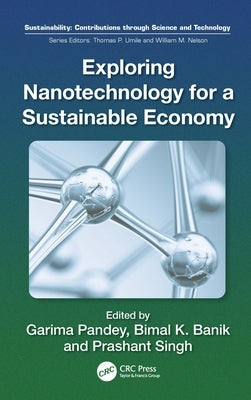 Exploring Nanotechnology for a Sustainable Economy by Banik, Bimal Krishna