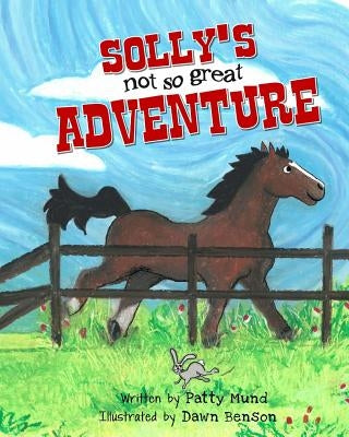 Solly's not-so-great Adventure by Benson, Dawn