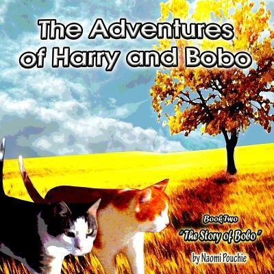 The Story of Bobo by Pouchie, Steve