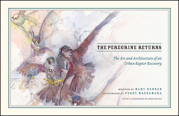 The Peregrine Returns: The Art and Architecture of an Urban Raptor Recovery by Hennen, Mary