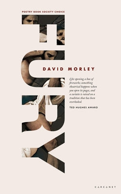Fury by Morley, David